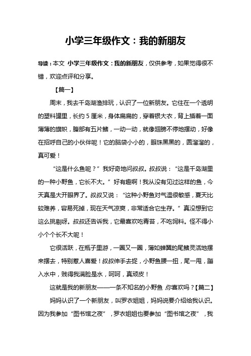 小学三年级作文：我的新朋友