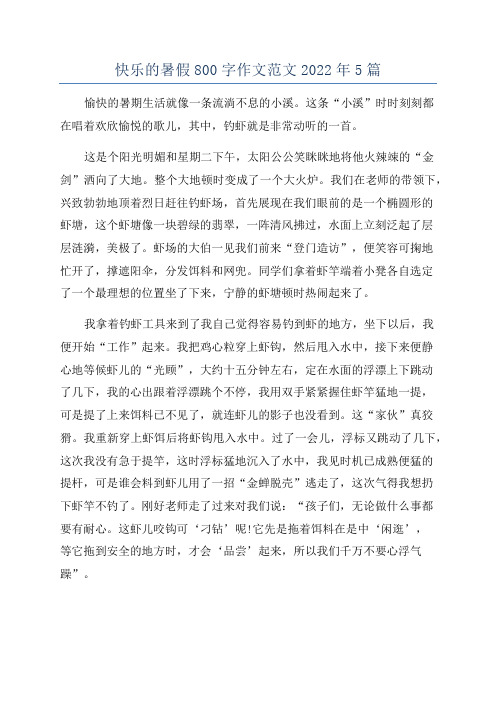 快乐的暑假800字作文范文2022年5篇