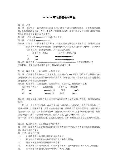 两名股东的有限责任公司章程