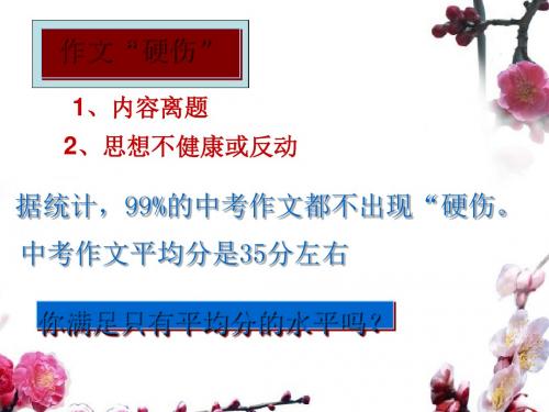 初中作文文采飞扬——中考作文的亮丽风景PPT (共16张PPT)