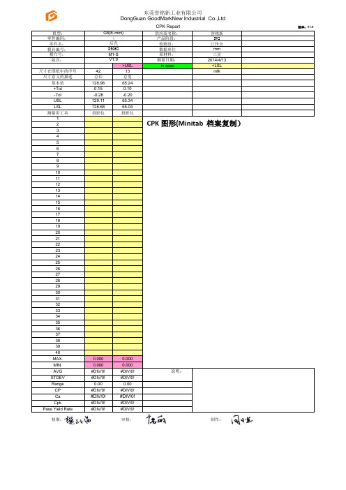 CPK空白报告模板