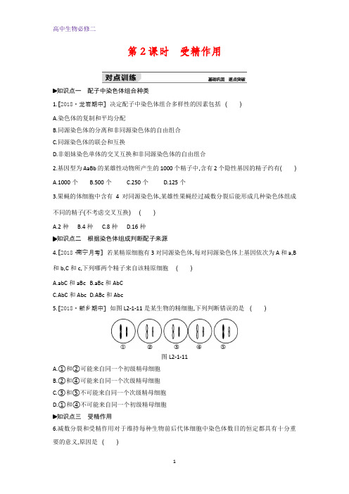生物人教版必修2练习：第2章第1节第2课时 受精作用 Word版含解析
