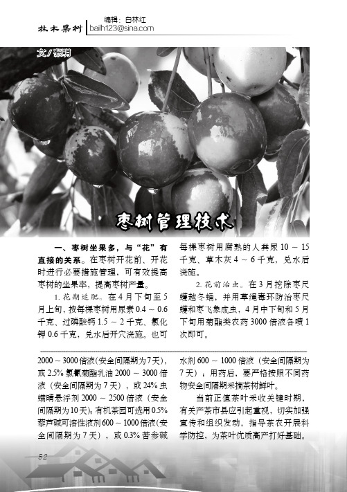 枣树管理技术