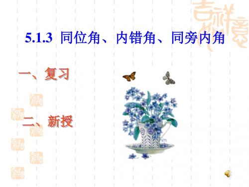 3第五章 5.1.3 同位角,内错角,同旁内角