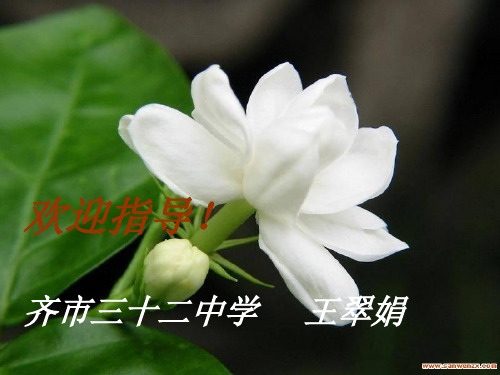 高中语文“现代诗歌散文欣赏”散文部分 第三单元 略读《吻火》优质公开课件
