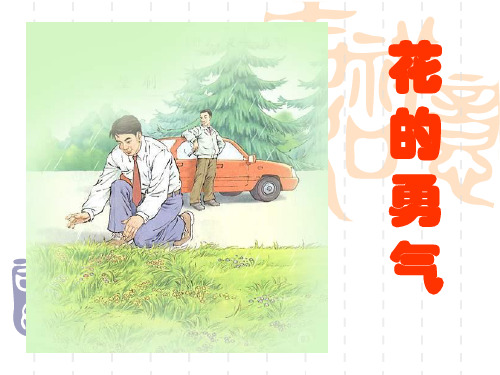 人教版小学语文四年级下册《花的勇气》ppt课件