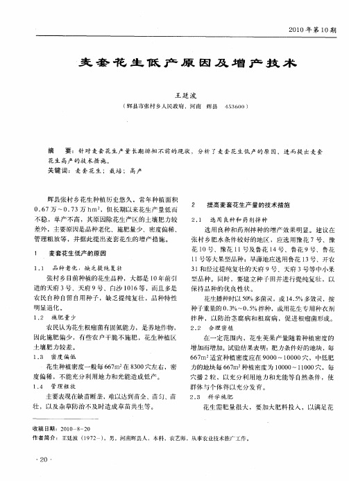 麦套花生低产原因及增产技术