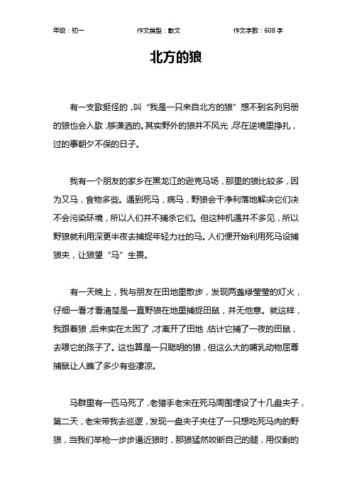 北方的狼作文【初中初一600字】