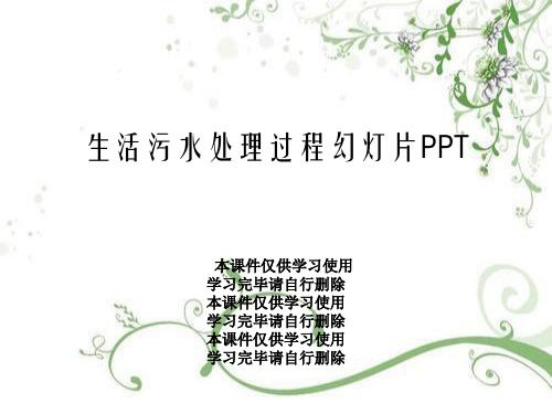 生活污水处理过程幻灯片PPT
