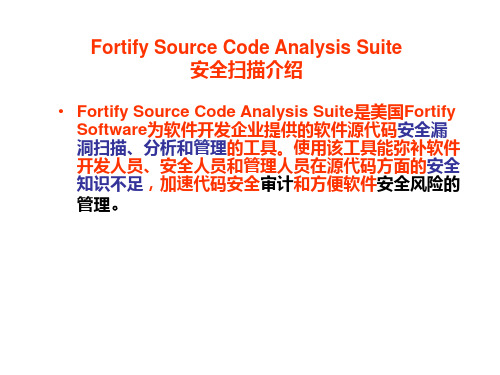 Fortify扫描结果
