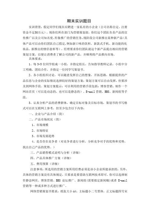 网络营销期末实训题目