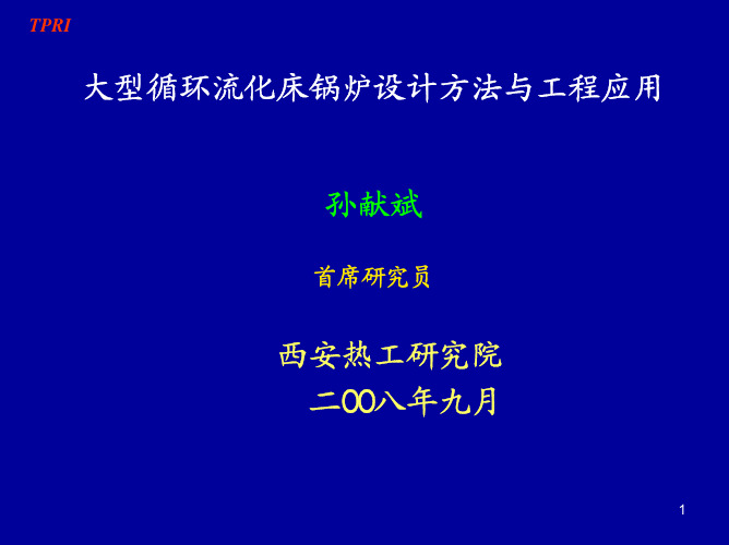 002  CFB锅炉设计方法与工程应用-孙献斌