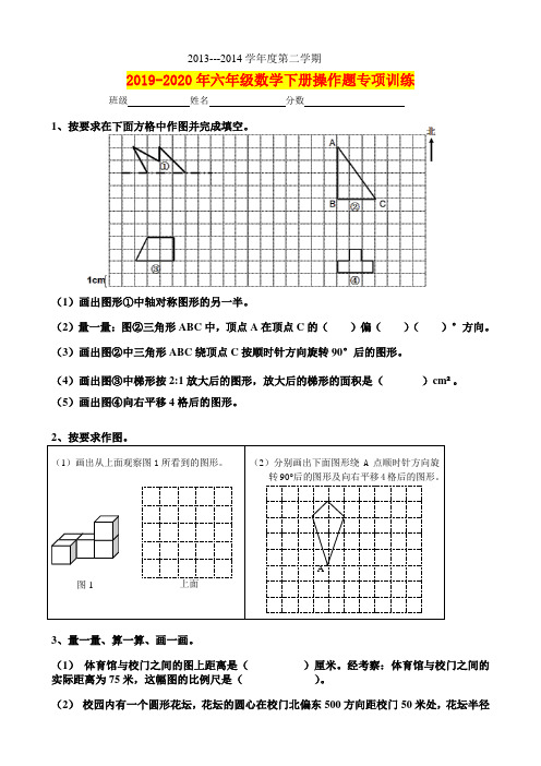 2019-2020年六年级数学下册操作题专项训练