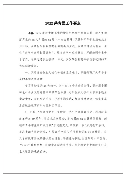 20XX共青团工作要点
