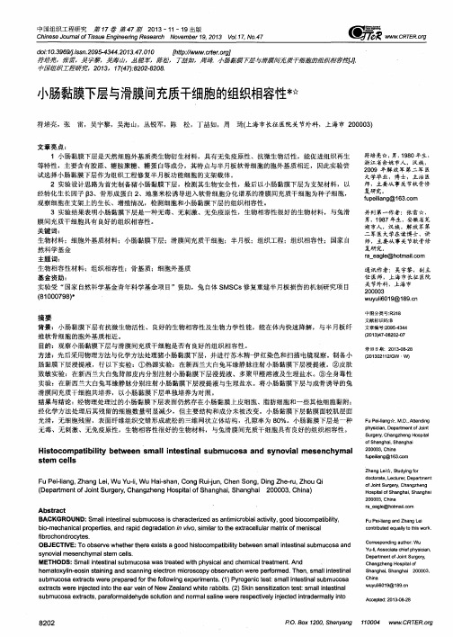小肠黏膜下层与滑膜间充质干细胞的组织相容性