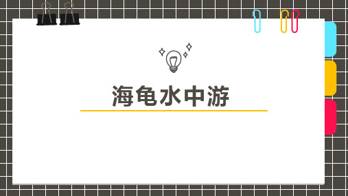 2019年8月13日《海龟水中游》