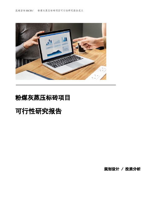 粉煤灰蒸压标砖项目可行性研究报告范文