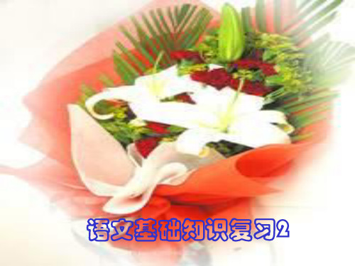 中考语文知识应用复习PPT教学课件