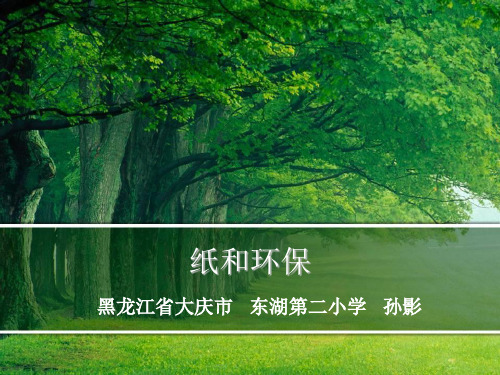 纸从哪里来上课课件