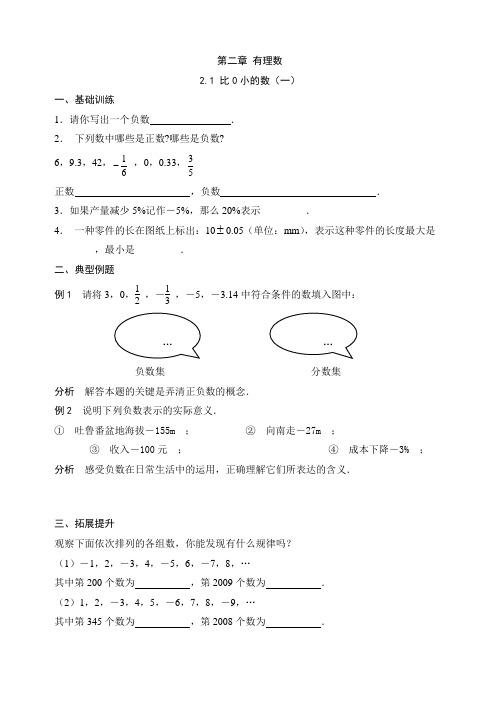 2.1比0小的数(一)