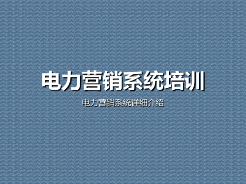 电力营销系统培训电力营销系统详细介绍