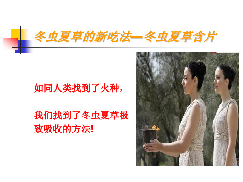 冬虫夏草含片