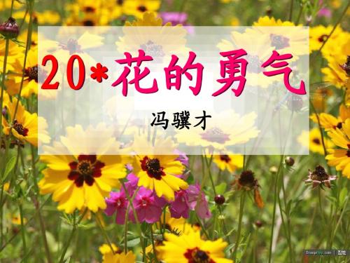 《花的勇气》ppt课件