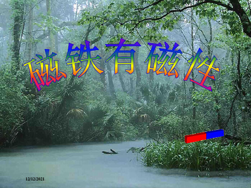 三年级科学下册 磁铁 2 磁铁有磁性课件