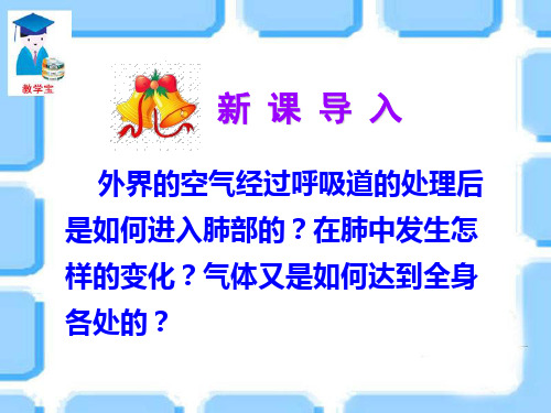 第二节  发生在肺内的气体交换