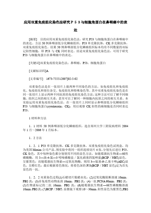 应用双重免疫组化染色法研究P53与细胞角蛋白在鼻咽癌中的表达