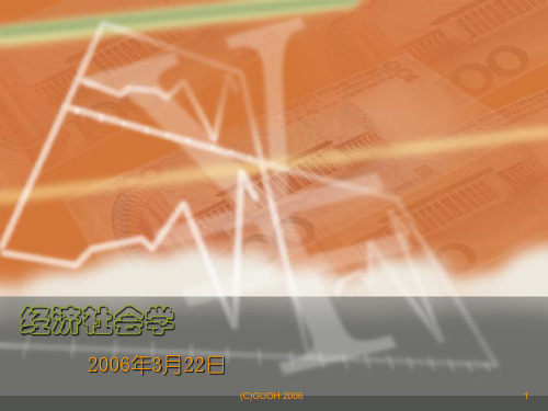 经济社会学讲义全