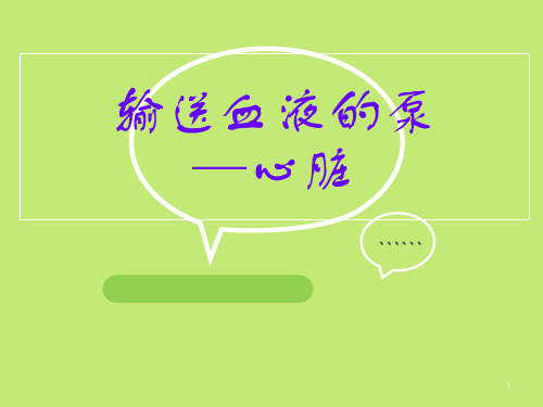 心脏(公开课)PPT参考幻灯片