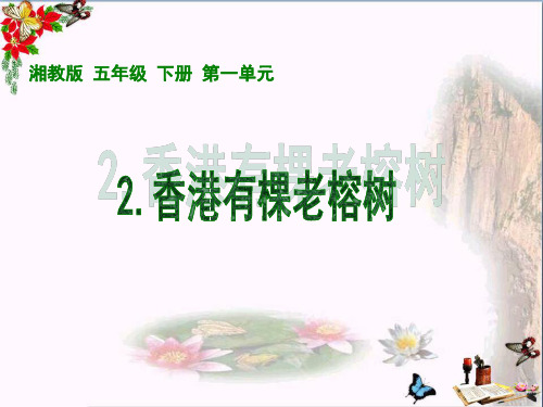 五年级语文上册第一单元香港有棵老榕树PPT课件3湘教版