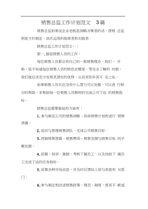 销售总监工作计划范文3篇