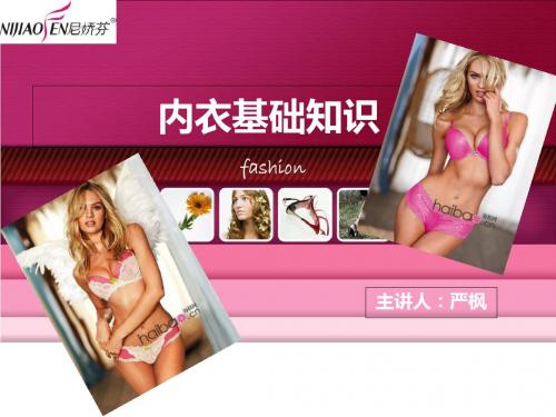 尼娇芬内衣基础知识-PPT精品文档