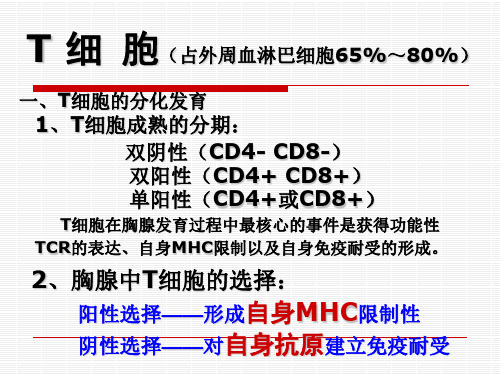 10第十章 T淋巴细胞