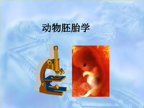 动物胚胎学