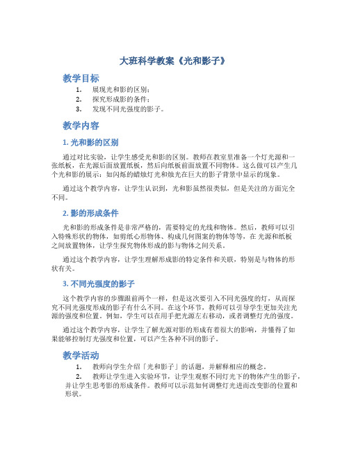 大班科学教案《光和影子》