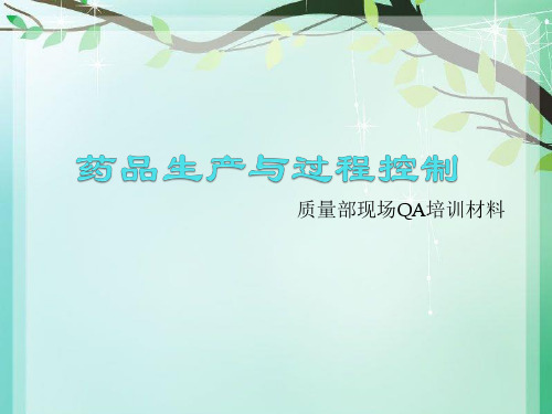 药品生产与过程控制.ppt
