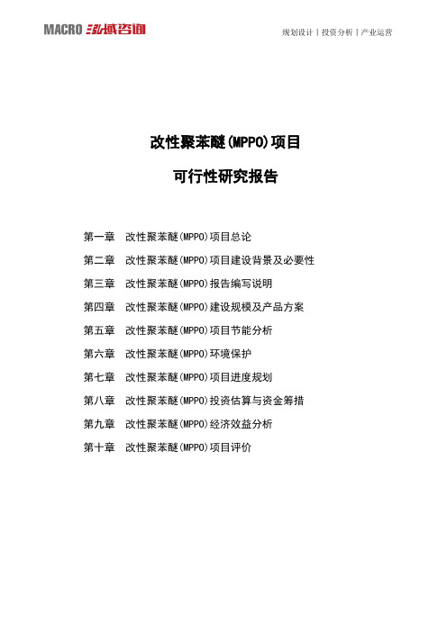 改性聚苯醚(MPPO)项目可行性研究报告
