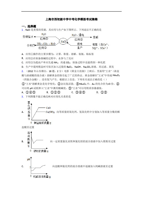 上海市西初级中学中考化学模拟考试集锦