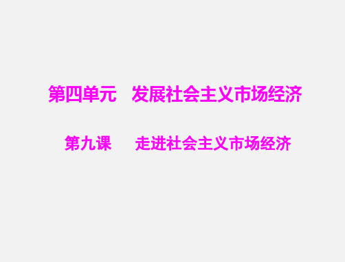 高考政治 一轮复习  第9课 走进社会主义市场经济 新人教必修1