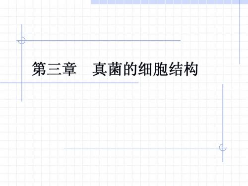 第三章 真菌的细胞结构new