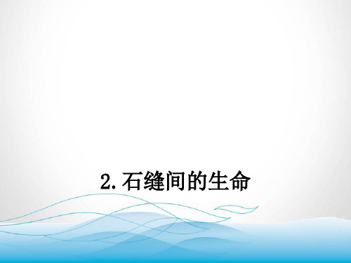 春学期九年级语文下册 第一单元 2 石缝间的生命课件 (新人教版)