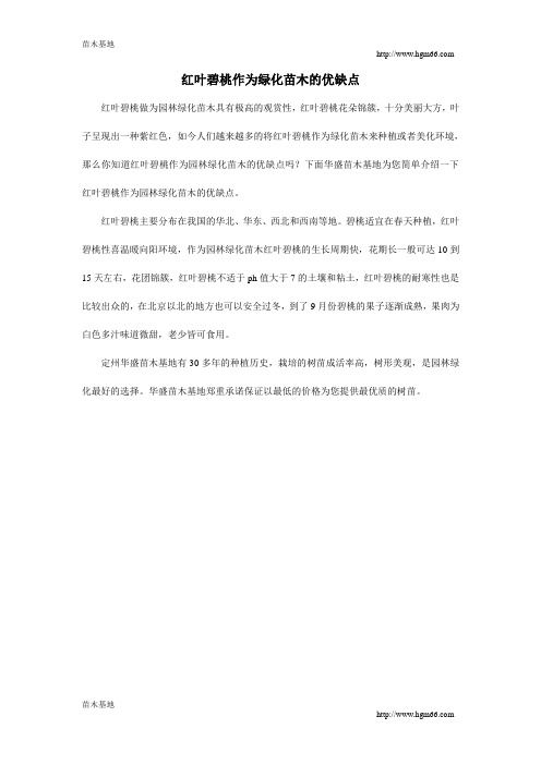 红叶碧桃作为绿化苗木的优缺点