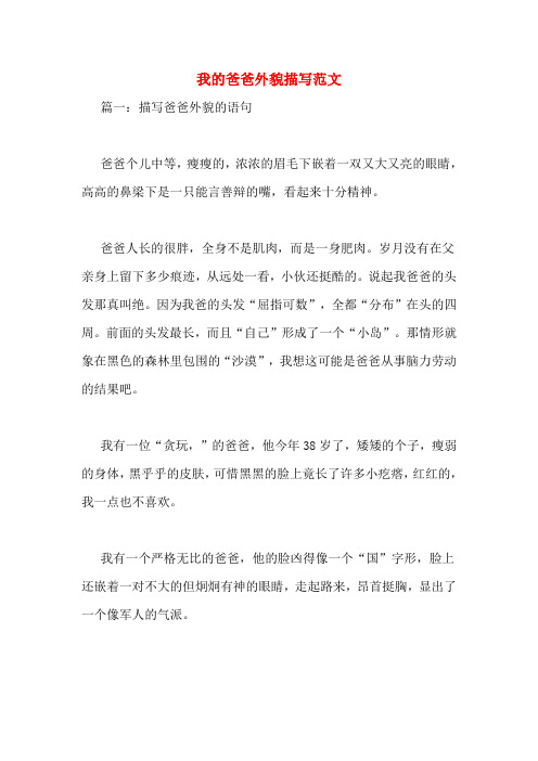 我的爸爸外貌描写范文