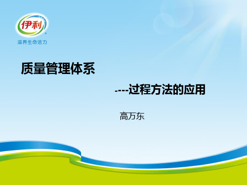 质量管理体系--过程方法的应用