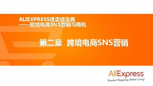 第二章 跨境电商SNS营销