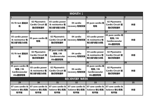 Insanity-63天健身计划-中英文课表(打印版)