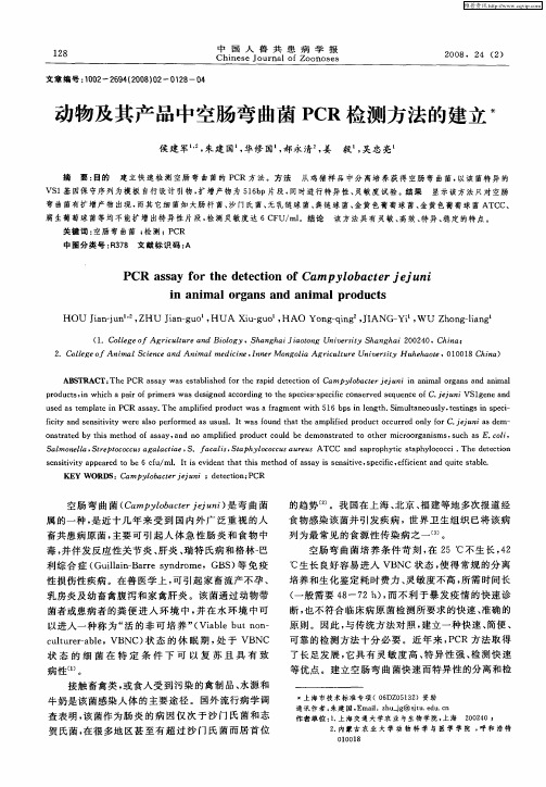 动物及其产品中空肠弯曲菌PCR检测方法的建立